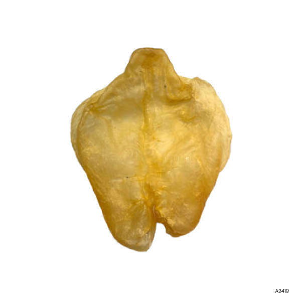 Dried Nile Perch Fish Maw